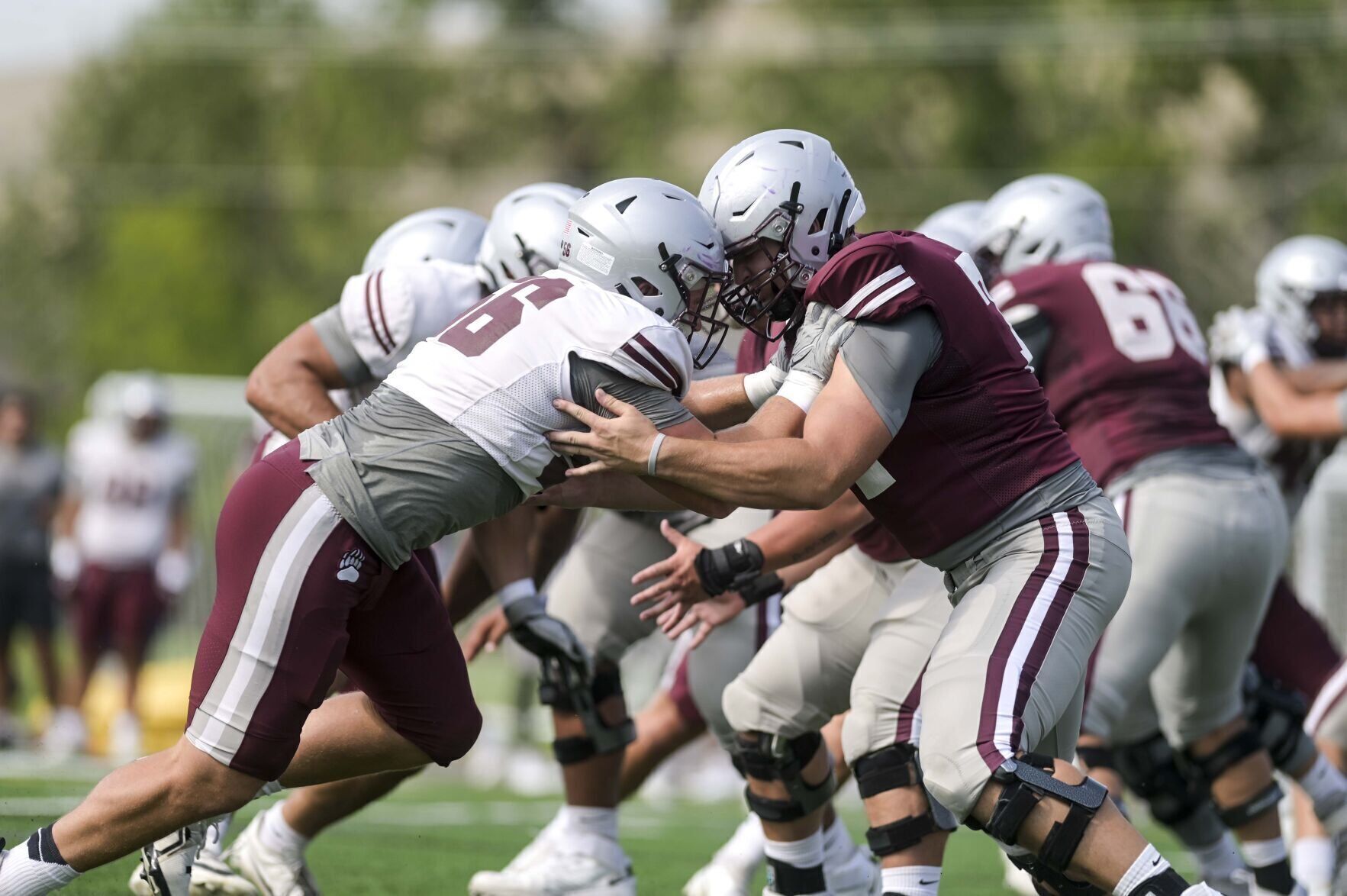 Griz Football Practice